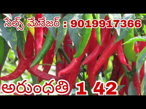 MELYNA ARUNDHATHI 142