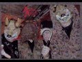 Death in June and Boyd Rice - Deeper than Love