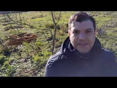 Parco ELMER Soveria Mannelli