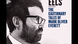 Eels   Mistakes of My Youth