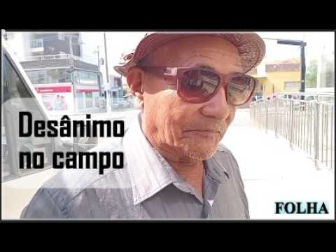 Prestes a perder o arroz já nascido, agricultor de Boa Ventura prevê agravamento da seca