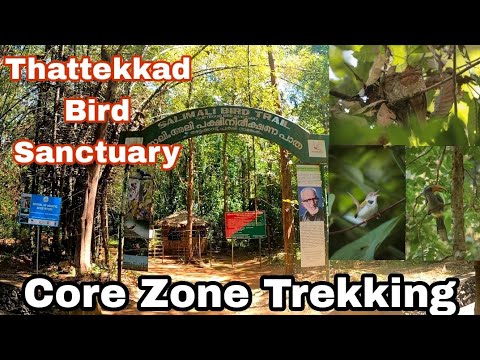 Thattekkad bird sanctuary