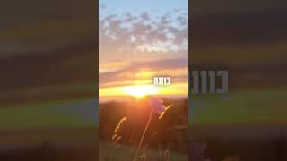 רק תגיד לו תודה (הרב אייל עמרמי) - התמונה מוצגת ישירות מתוך אתר האינטרנט יוטיוב. זכויות היוצרים בתמונה שייכות ליוצרה. קישור קרדיט למקור התוכן נמצא בתוך דף הסרטון