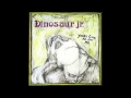 Dinosaur Jr. - Poledo