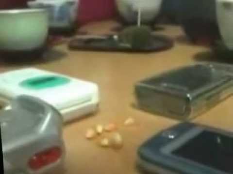 Popcorn telefonem