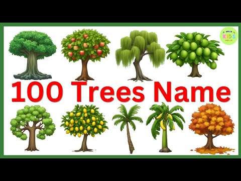 100 Trees Name in English | All Plants Name in English | List of Trees Names #trees #tree #treesname