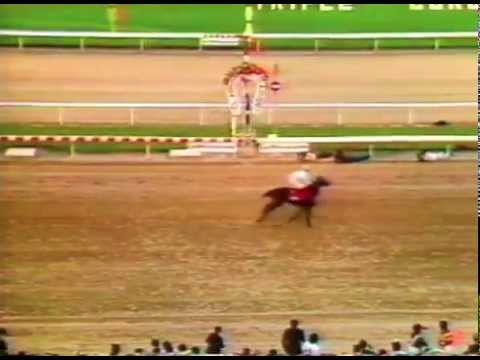 Clásico del Caribe 1985 - Patilargo (PAN)