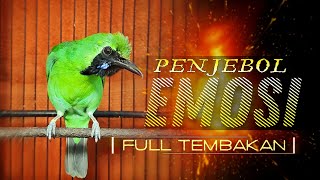 Download lagu 🔴 PENJEBOL EMOSI || CUCAK IJO GACOR JAMBUL DAN NGENTROK FULL TEMBAKAN mp3