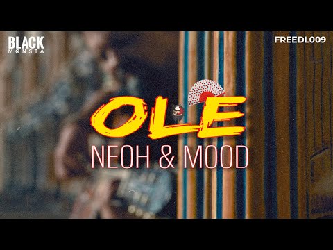 Neoh and Mood - Ole (Original Mix)