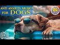24 Hours of Anti Anxiety Music for Dogs: Cure Separation Anxiety with Dog Music & Dogs Calming Music