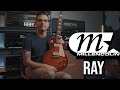 Millencolin - Ray (Guitar Cover)