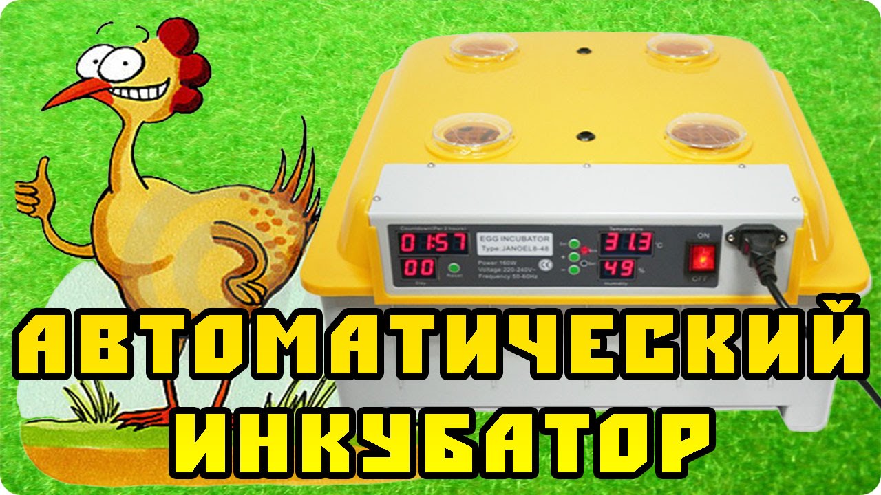 Купить Инкубатор В Днс Магазине Купить Инкубатор В Днс Магазине
