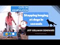 Stopping lunging at dogs in seconds - Jeff Gellman Seminars (2020)