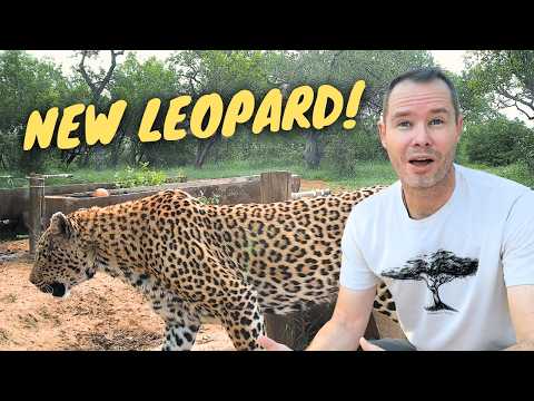 My Trail Camera Nearly Drowned! S2E3