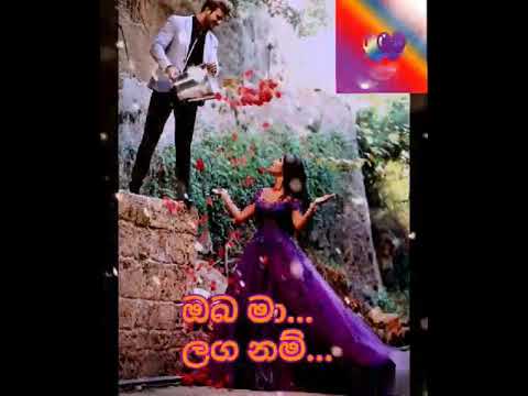 Whatsapp Status Mal Wahi Se Wahi | මල් වැහි සේ වැහි