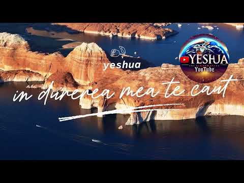 În Durerea Mea Te Caut – O Cântare de Speranță și Încredere