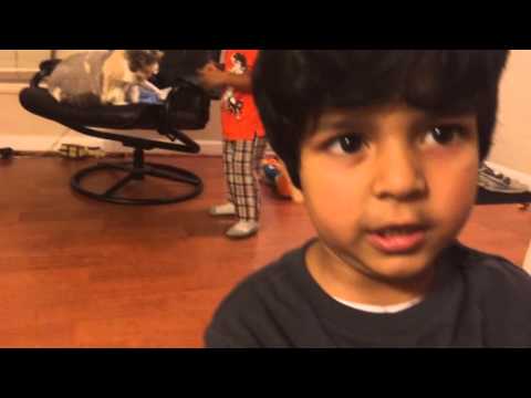 Shah Abbas abusing our Cat Chammo