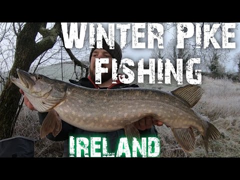 Winter Pike fishing in Ireland