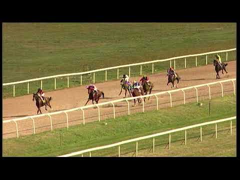 rm 20211029 02 p damascusregal