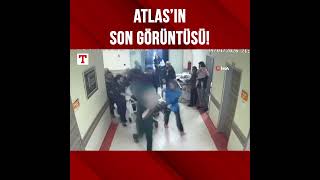 Atlas Çağlayan'ın Hastanedeki Son Görüntüsü Ortaya Çıktı! #Shorts
