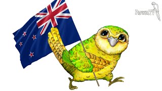 Попугай какапо, который стал послом Новой Зеландии