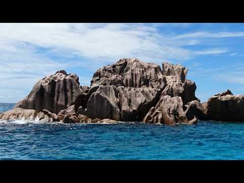 Joel Friedrich Steinfeldt   Uus aeg