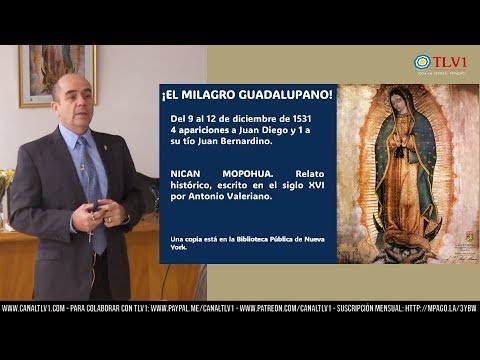 Especial TLV1 N°21 - Milagro y apariciones Guadalupanas a los 500 años