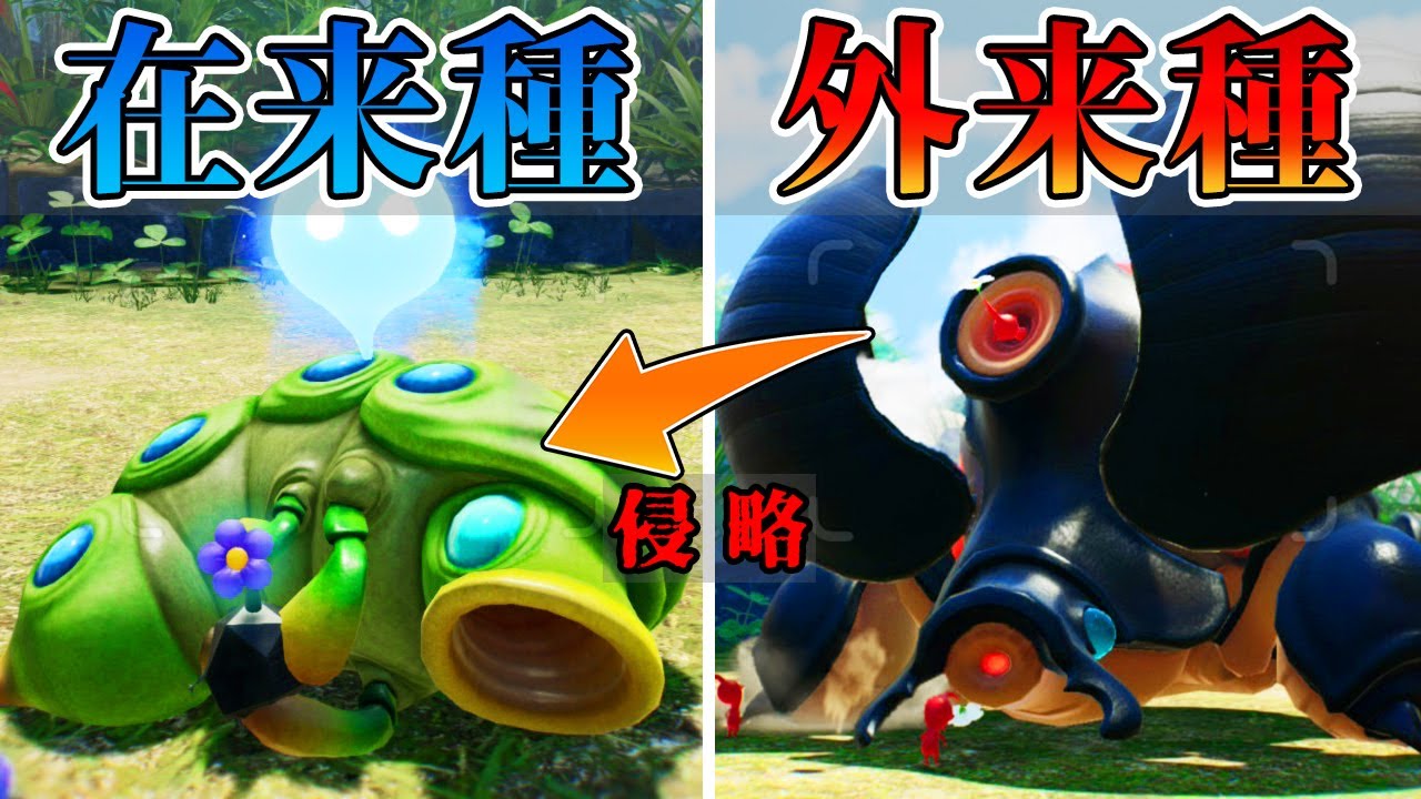 ピクミン界に22年ぶりに復活した外来種の影響で〇〇が絶滅するかもしれません...