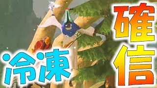 見たらわかる、喰らったら凍るやつやん-PART14-【ゼルダの伝説ブレスオブザワイルド実況】