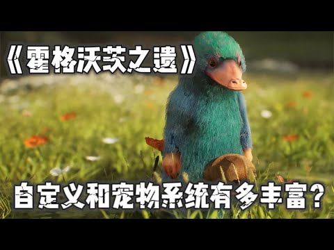 《霍格沃茨之遗》自定义装饰和宠物系统竟然如此精致！太能满足玩家的&ldquo;少女&rdquo;心了