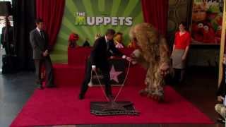 The Muppets Star Ceremony: Star Reveal [HD]