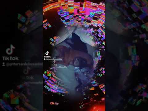 MIS PERRITAS Y EL PICO PIRENAICO DE LOS PERROS. ARROYO DE SAN SERVAN. CAMPANARIO. BADAJOZ. ESPAÑA