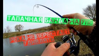Рыбалка тулы и тульской области