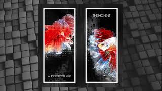 Audiostrobelight - The Moment