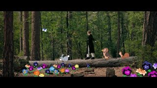 Slothrust - &quot;Peach&quot; Official Video