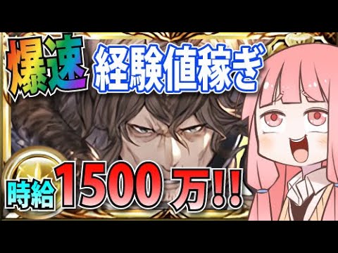 アーカルム外伝で効率的にランク上げと経験値稼ぎをする方法を解説【グラブル】
