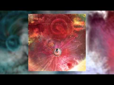 ANIMALS AS LEADERS - Para Mexer