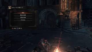 今更DARK SOULS3をはじめるオジサン達20251108