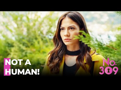 Lale Turns Mad Out Of Jealousy - No.309 Episode 240