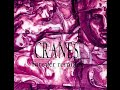 CRANES - clear (ring tailed snorter mix) 