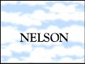 Tommy Nelson Presents Logo 2000