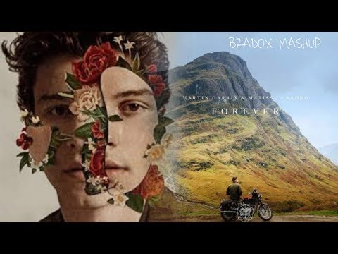 Shawn mendes Vs. Martin Garrix - In my blood X Forever (Mashup)