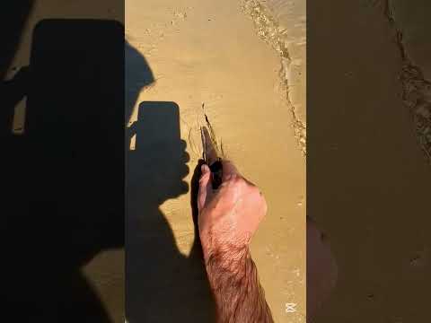 #beach #fishing #ocean #facts