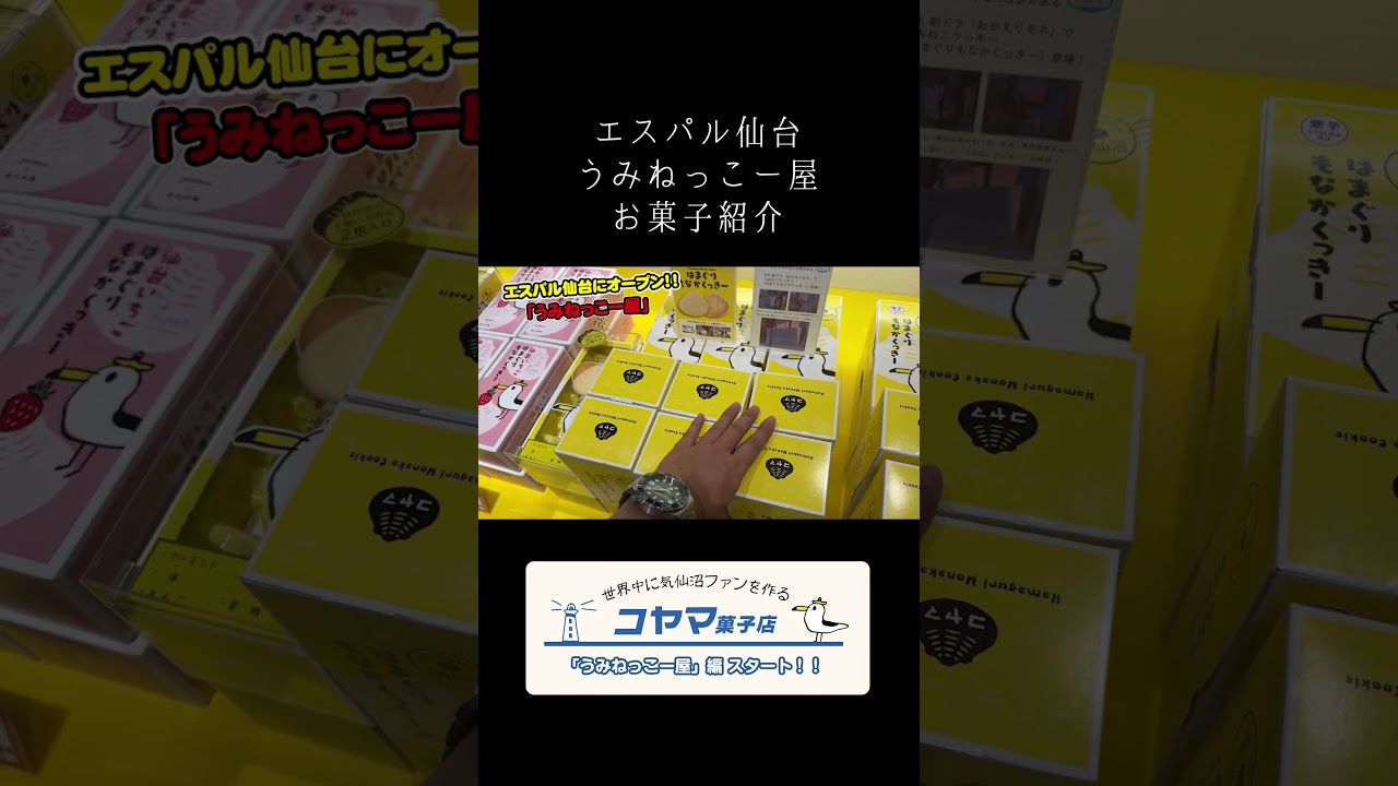 五代目がうみねっこー屋に納品してきました🐦✨