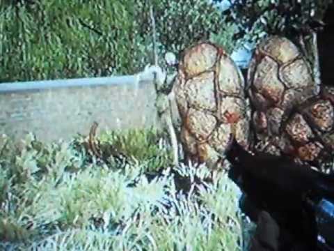 Ti uccidero'!!!!!!!!!