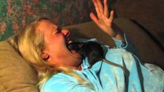 preview picture of video 'Wench Lori Feeding Rats From Mouth Like Being At Dentist Video 5 of 5'