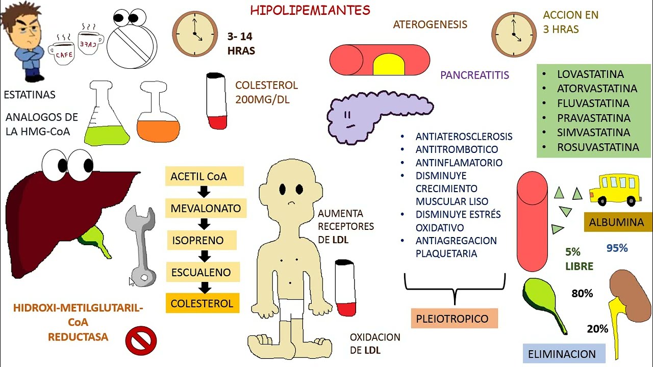 Farmacologia: Estatinas ( pravastatina, atorvastatina)