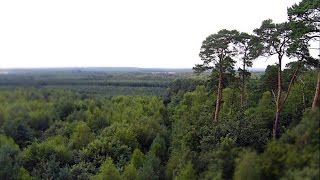 preview picture of video 'Forêt d'Ermenonville - Oise - Picardie - Imagerie par Drone'