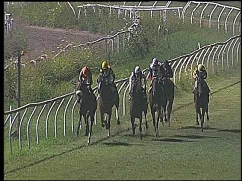 Galoppo 16/07/2016 - 7° corsa