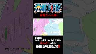 アニメ「#ONEPIECE」見放題配信への追加は木曜日‼️1166話‼️ #onepiece #原撮